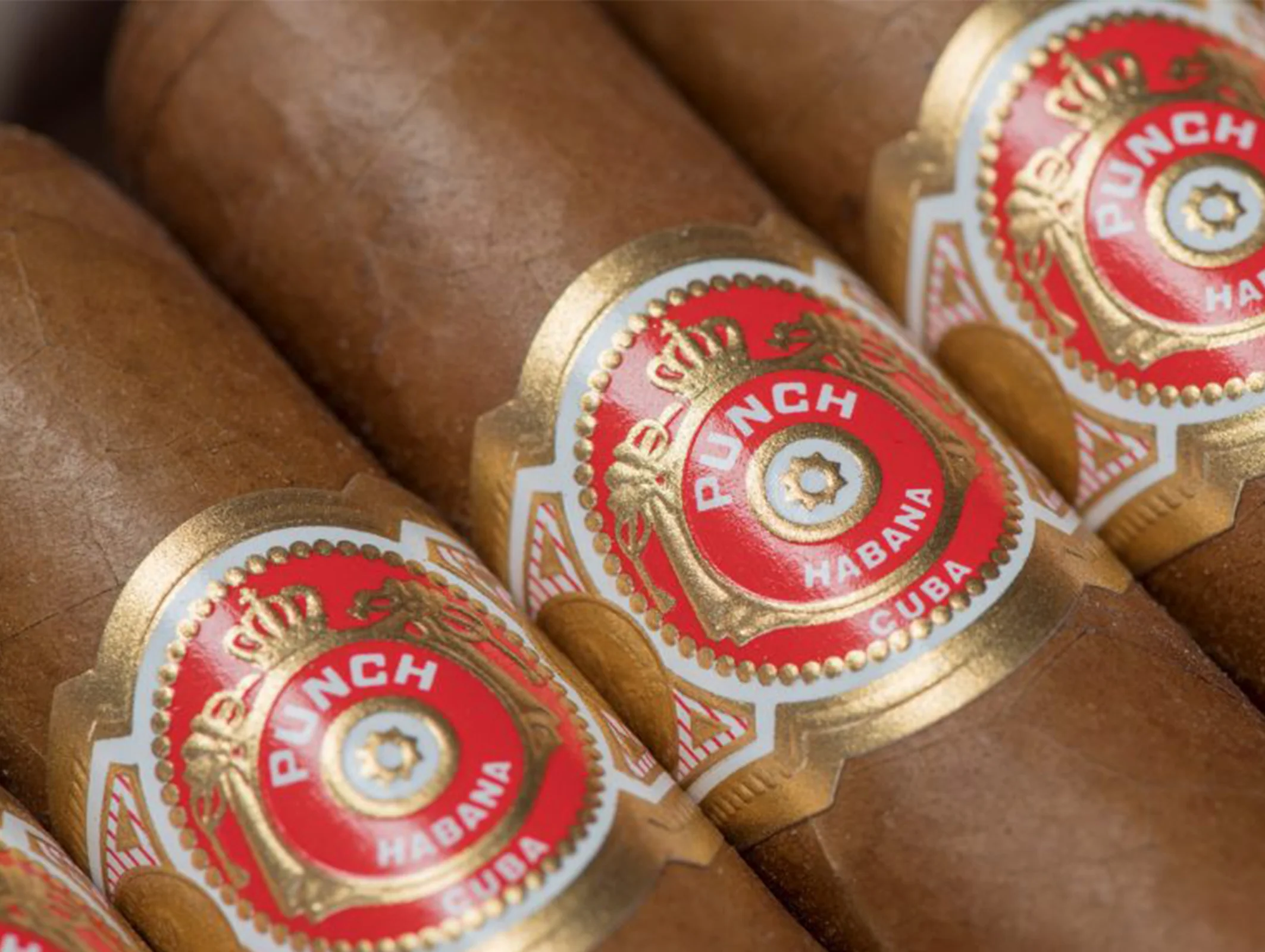 Punch Short de Punch Cigar - Image 3